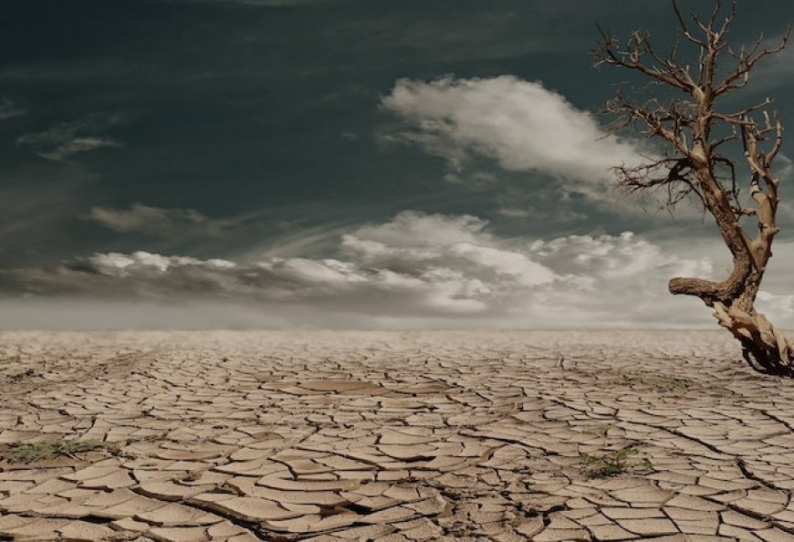 "Crisis climática: El urgente llamado a la acción para preservar nuestro planeta y asegurar un futuro sostenible"