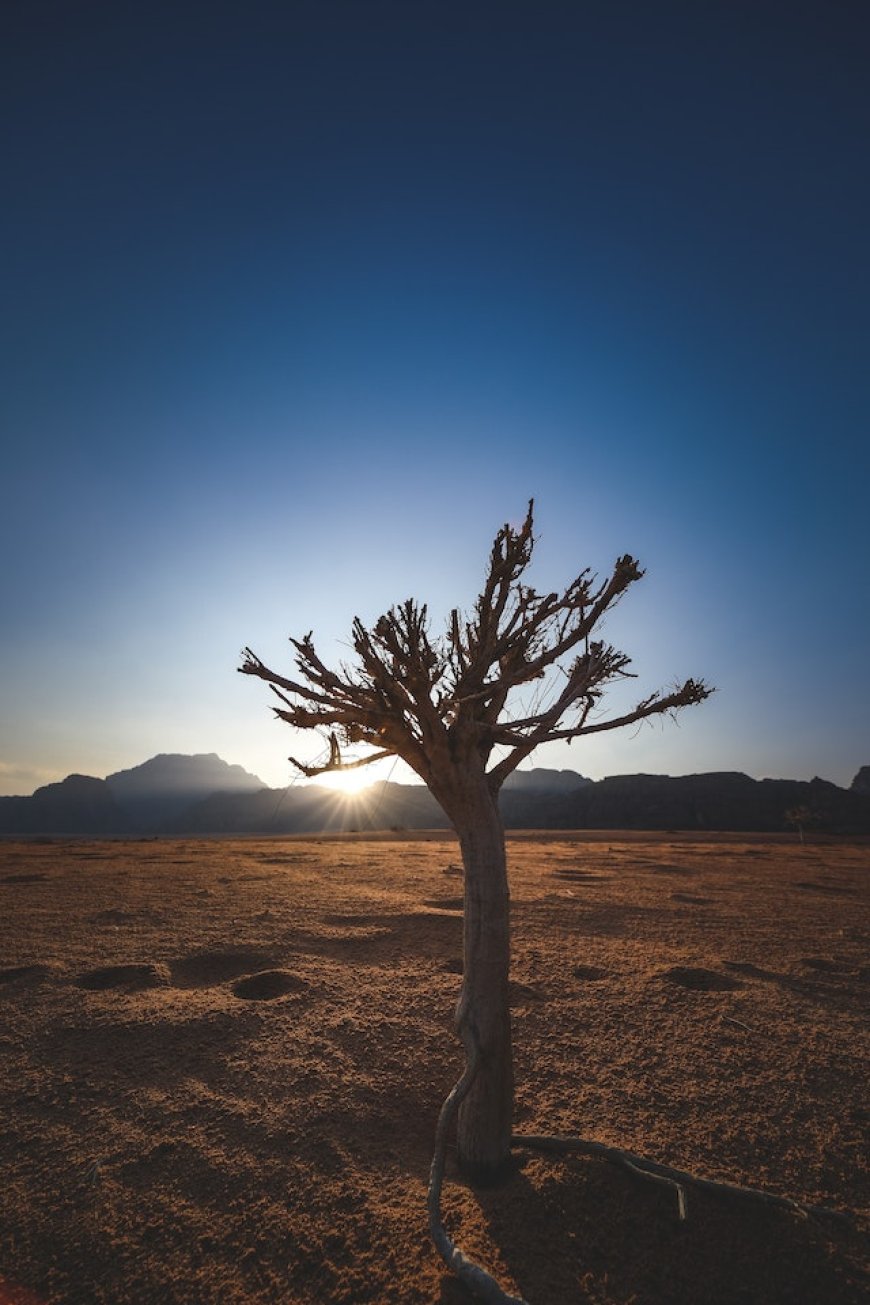 "Crisis climática: El urgente llamado a la acción para preservar nuestro planeta y asegurar un futuro sostenible"
