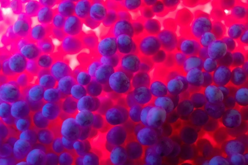"El Desafío de la Resistencia Bacteriana: Un Problema Global que Requiere Acción Conjunta"