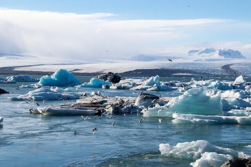 "Descubrimiento Impactante: Glaciares Suizos Pierden la Mitad de su Volumen en Décadas Recientes"